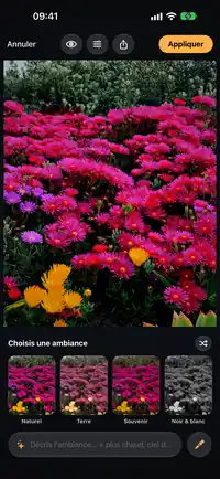 Capture de Teinte : choix d'une ambiance