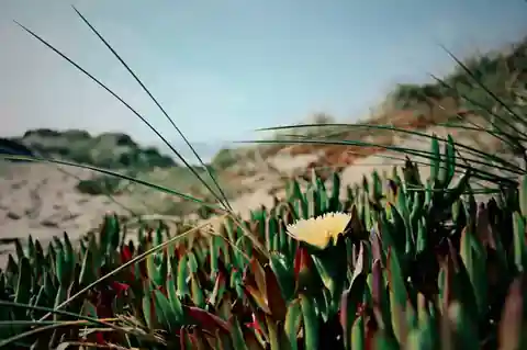 Photo retouchée avec Teinte, rendu Cinéma